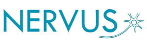 nervus